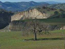 California2007-2008-012